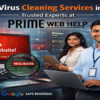 Website Virus Cleaning Services